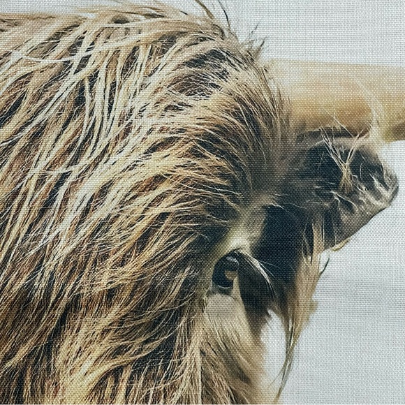 Highland Cow Pillow Cover NWOT - Picture 4 of 5